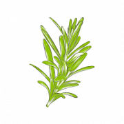 (c) Rosmarin-und-oleander.com